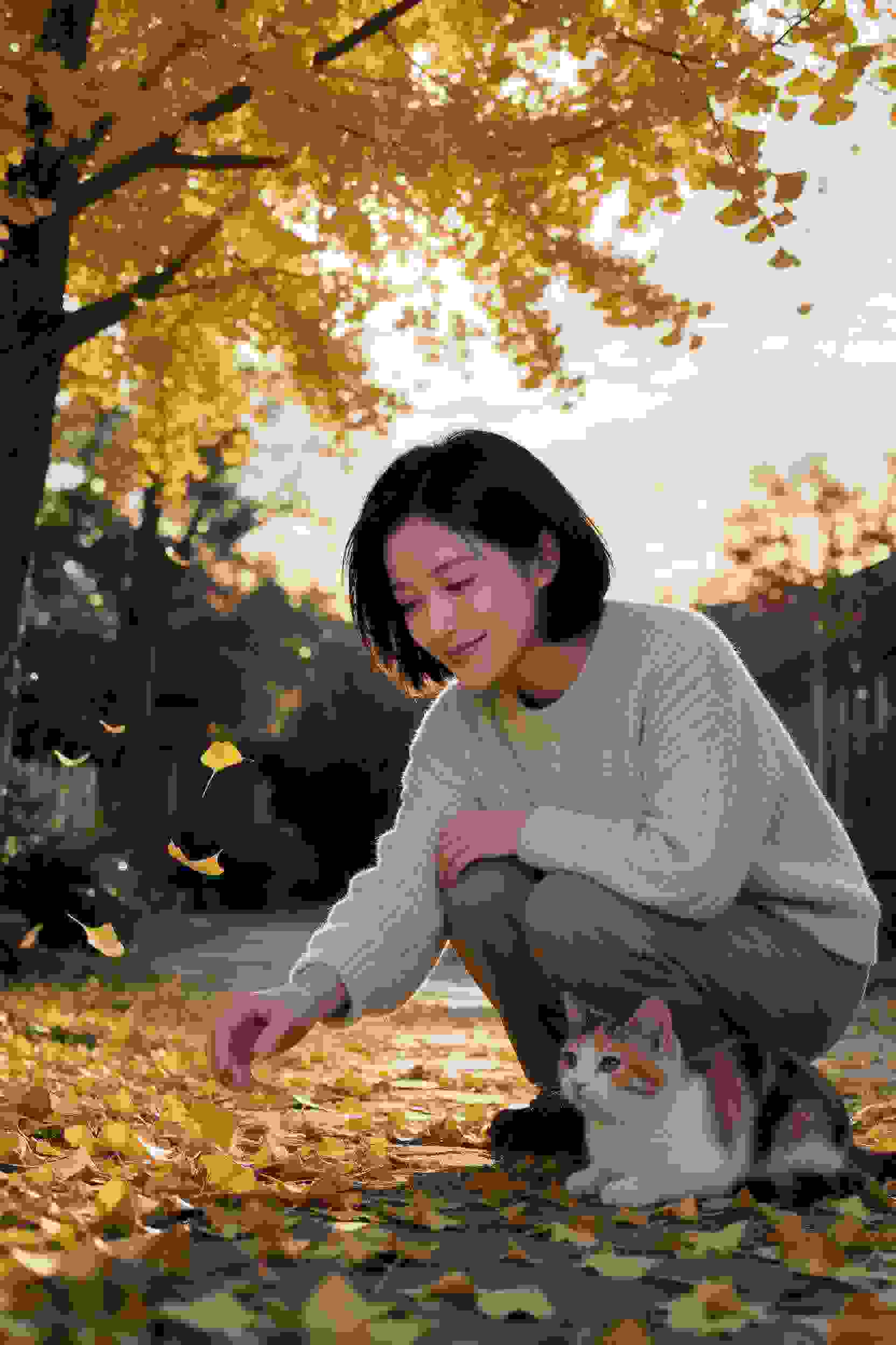 短剧《第十三个乘客》封面